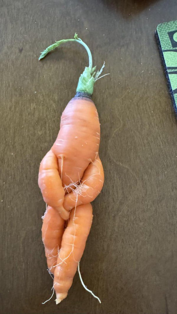 What Is Going On Here? (47 pics) What Is Going On Here? (47 pics)