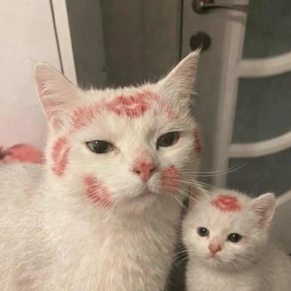 What Is Going On Here? (47 pics) What Is Going On Here? (47 pics)