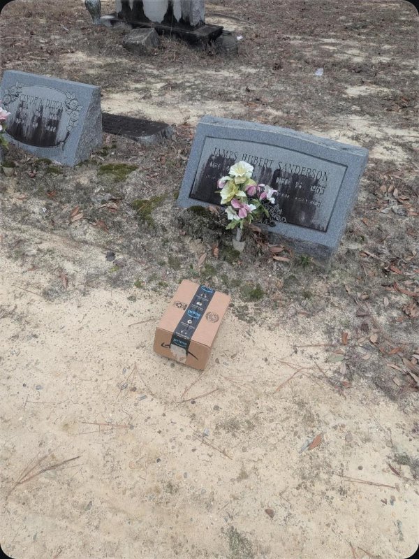 What Is Going On Here? (47 pics) What Is Going On Here? (47 pics)