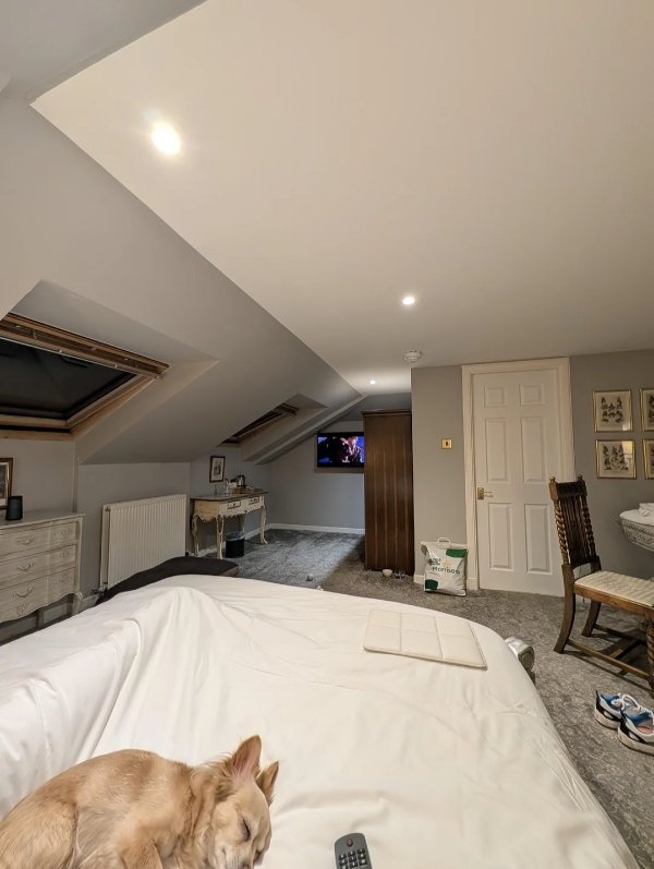 Failed Designs (47 pics)