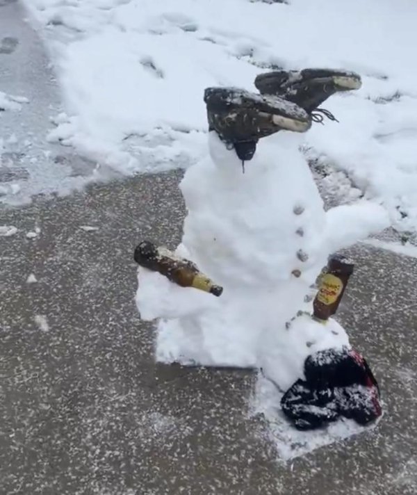 What Is Going On Here? (47 pics) What Is Going On Here? (47 pics)