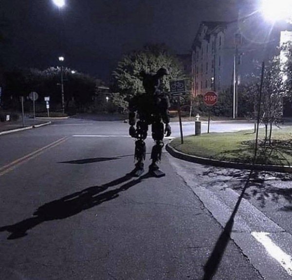 What Is Going On Here? (47 pics) What Is Going On Here? (47 pics)