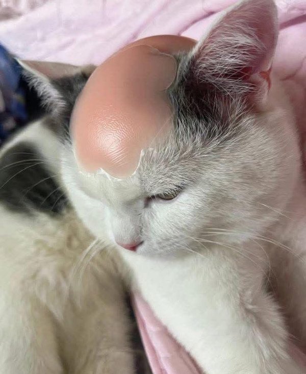 What Is Going On Here? (47 pics) What Is Going On Here? (47 pics)