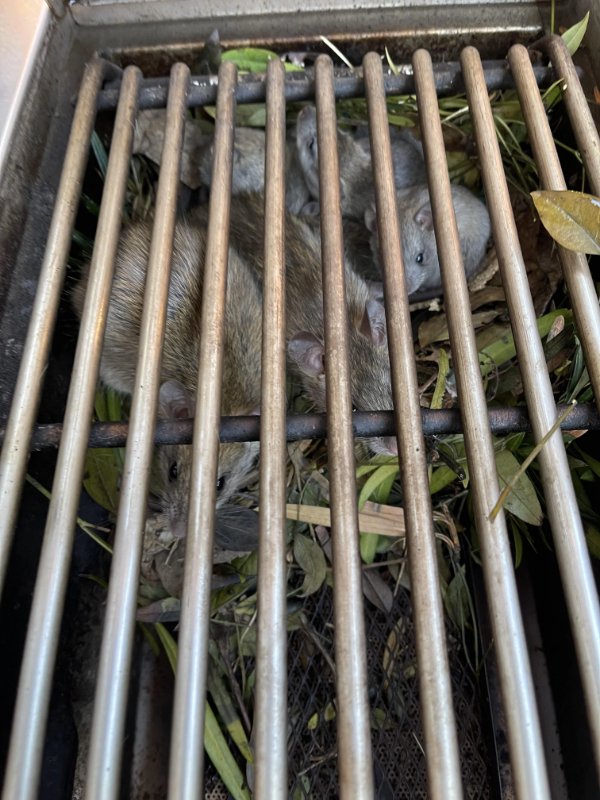 Bad Days Happen (23 pics)