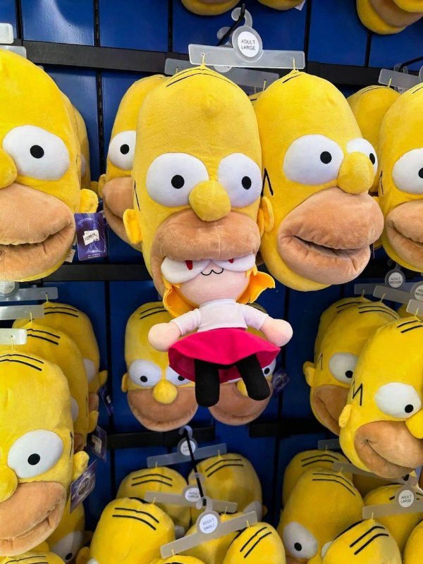 What Is Going On Here? (47 pics) What Is Going On Here? (47 pics)