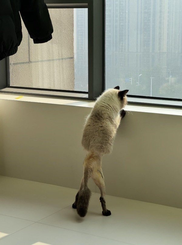 What Is Going On Here? (47 pics) What Is Going On Here? (47 pics)