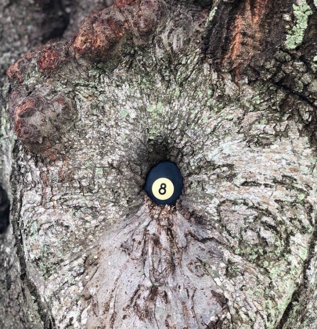 Interesting Finds And Discoveries (24 pics)