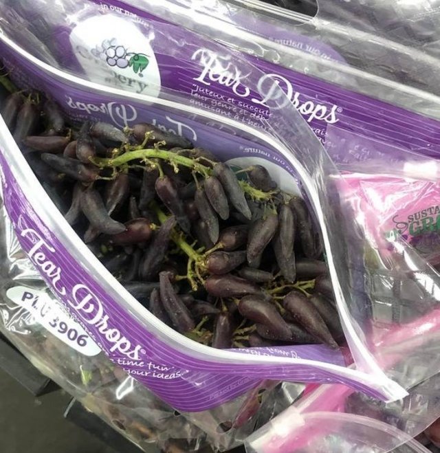 Interesting Finds And Discoveries (24 pics)