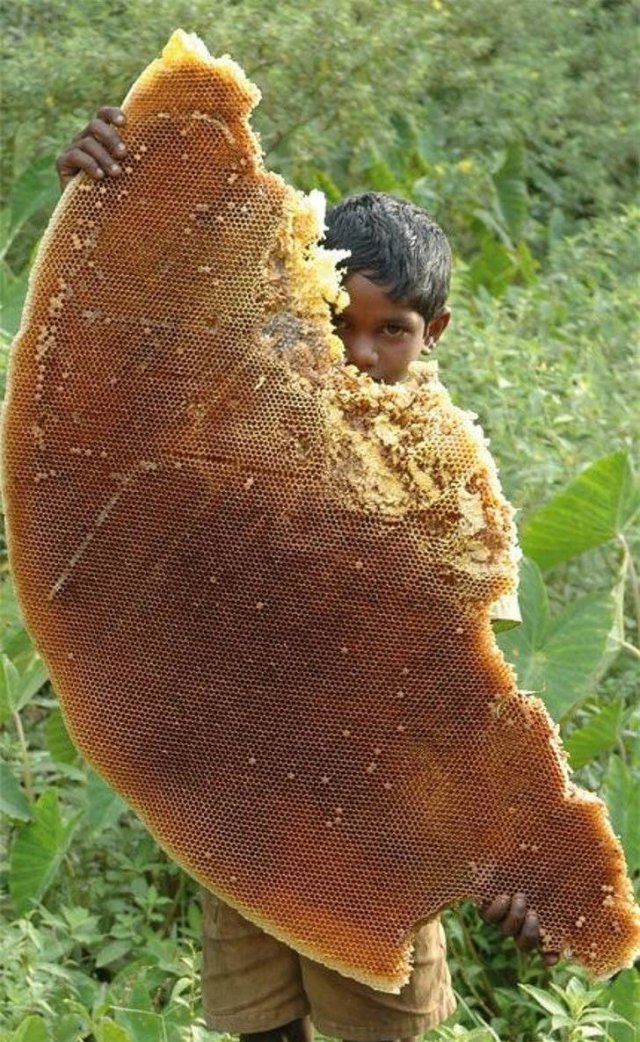 Interesting Finds And Discoveries (24 pics)