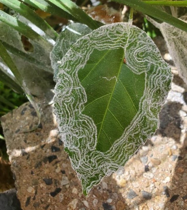 Interesting Finds And Discoveries (24 pics)