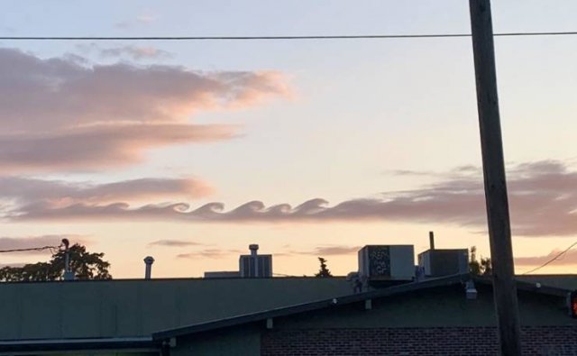 Interesting Finds And Discoveries (24 pics)