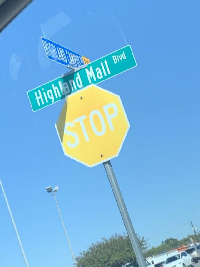 Unusual Finds (25 pics)