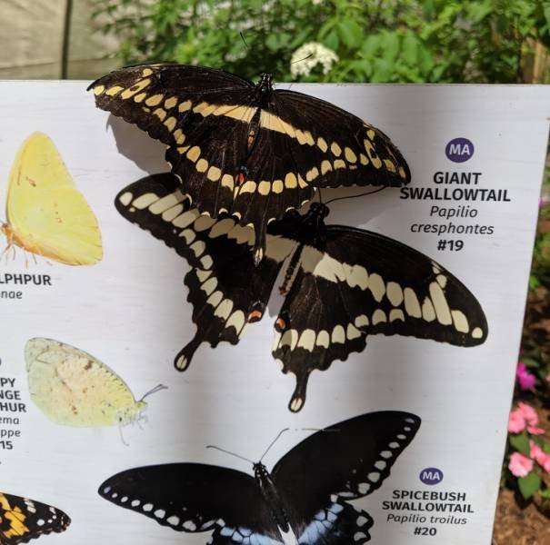 Interesting Finds And Discoveries (24 pics)