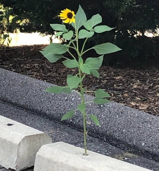 Interesting Finds And Discoveries (24 pics)