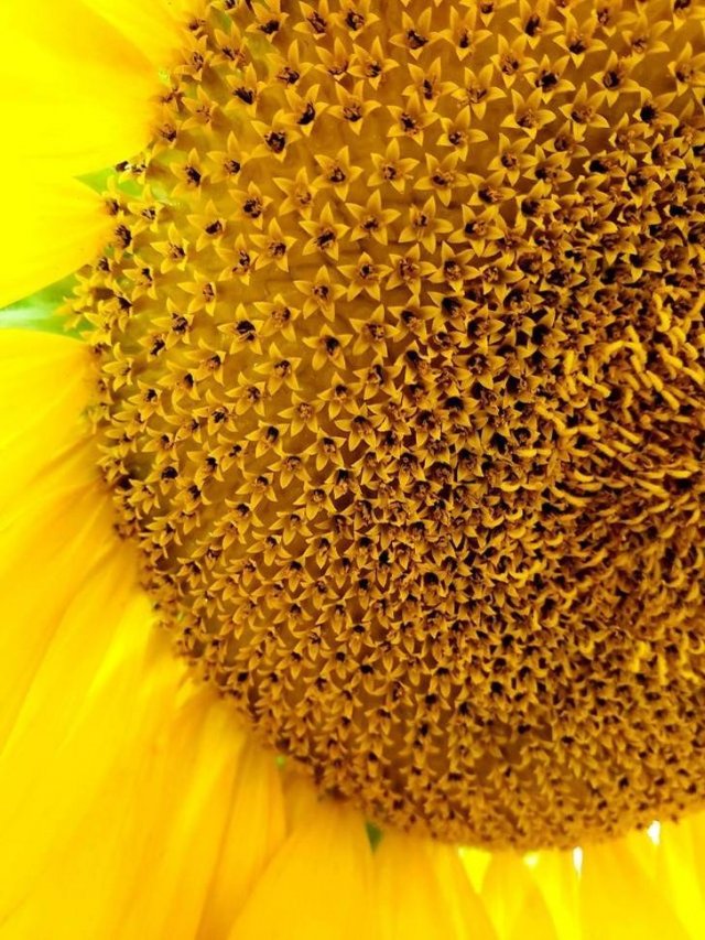 Interesting Finds And Discoveries (24 pics)