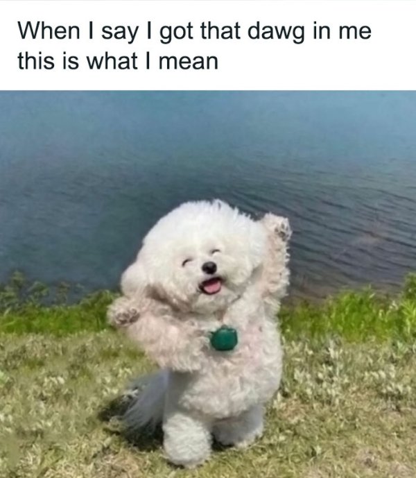 Kind Memes And Stories (26 pics)