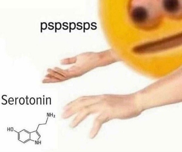 Random Memes (22 pics) Random Memes (22 pics)