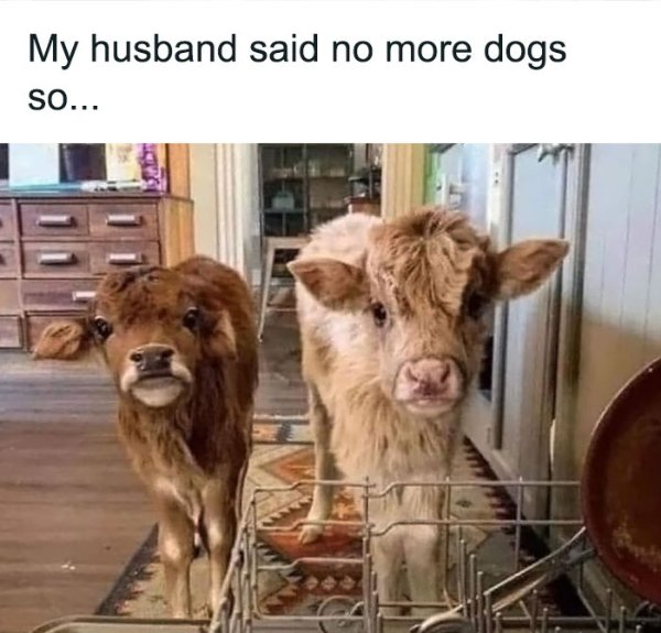 Kind Memes And Stories (26 pics)