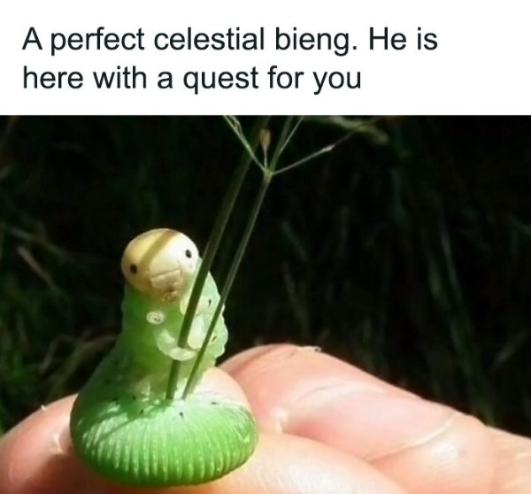 Kind Memes And Stories (26 pics)