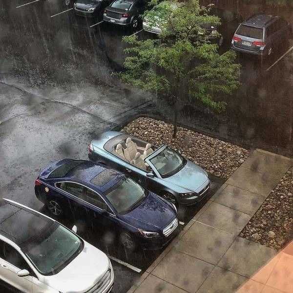 What Is Going On Here? (23 pics) What Is Going On Here? (23 pics)