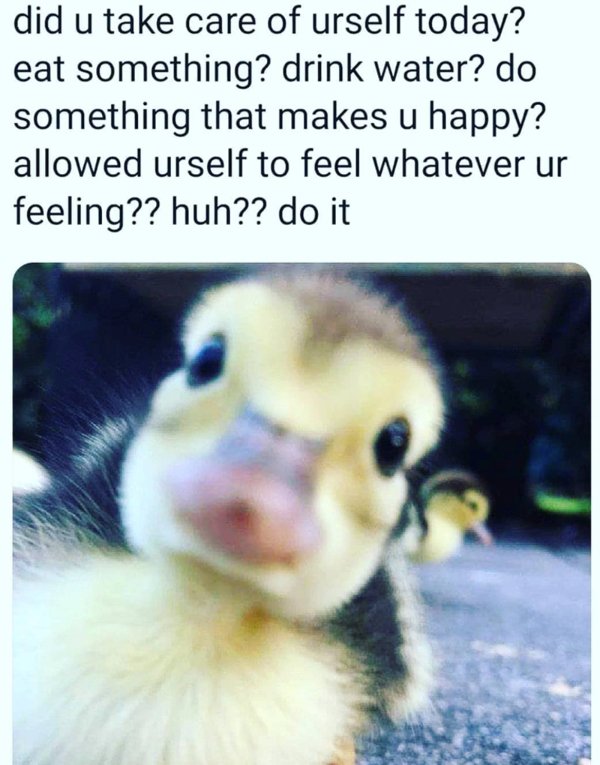 Kind Memes And Stories (26 pics)