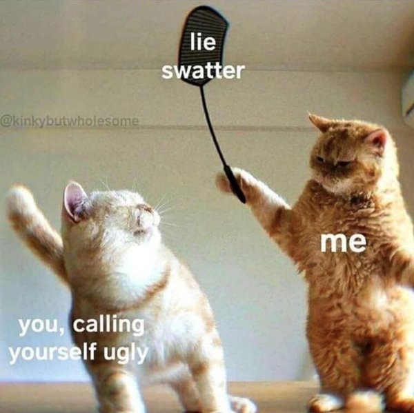 Kind Memes And Stories (26 pics)