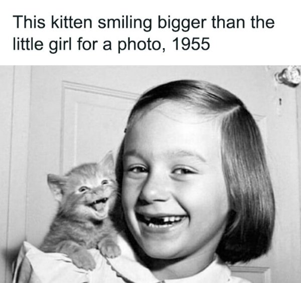 Kind Memes And Stories (26 pics)