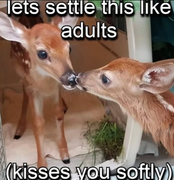 Kind Memes And Stories (26 pics)