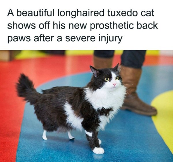 Kind Memes And Stories (26 pics)