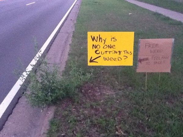 What Is Going On Here? (23 pics) What Is Going On Here? (23 pics)