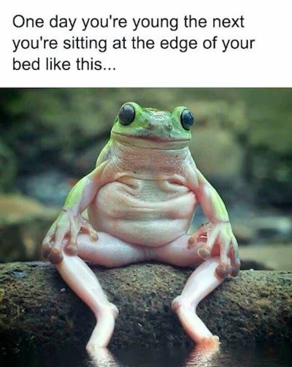 Funny Memes (29 pics) Funny Memes (29 pics)