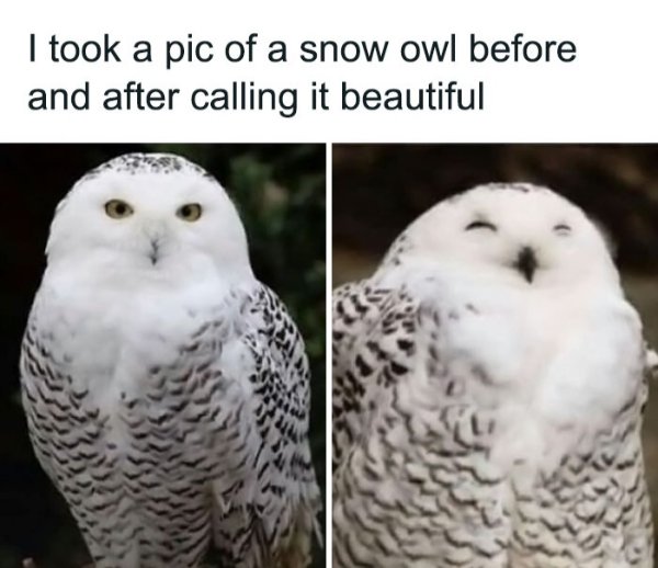 Kind Memes And Stories (26 pics)