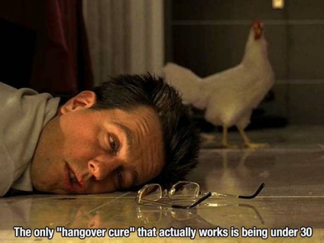 Truthful Memes (30 pics)