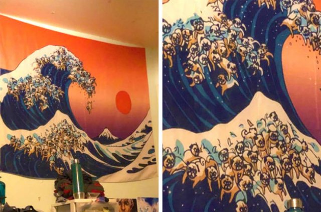 Failed Shopping (30 pics)