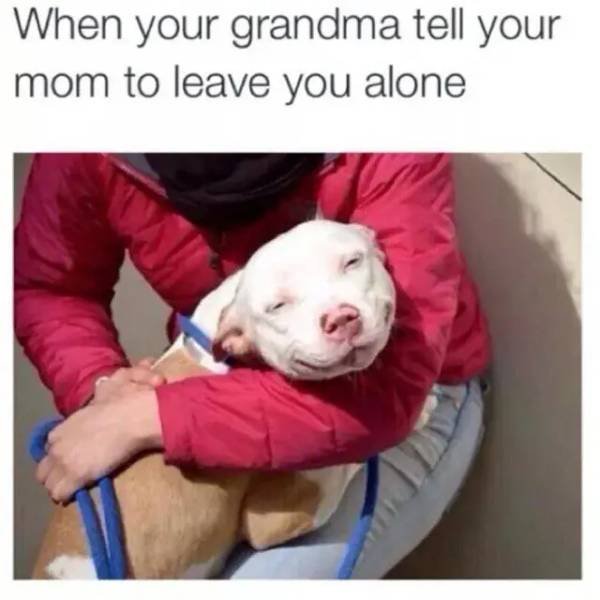 Memes About Grandmothers (22 pics) Memes About Grandmothers (22 pics)