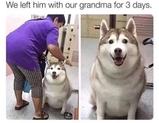 Memes About Grandmothers (22 pics) Memes About Grandmothers (22 pics)