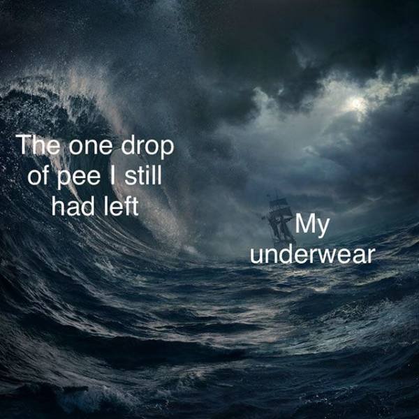 Truthful Memes (30 pics)