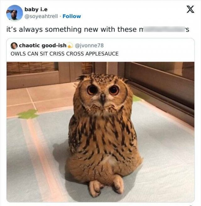 Science Memes (20 pics)