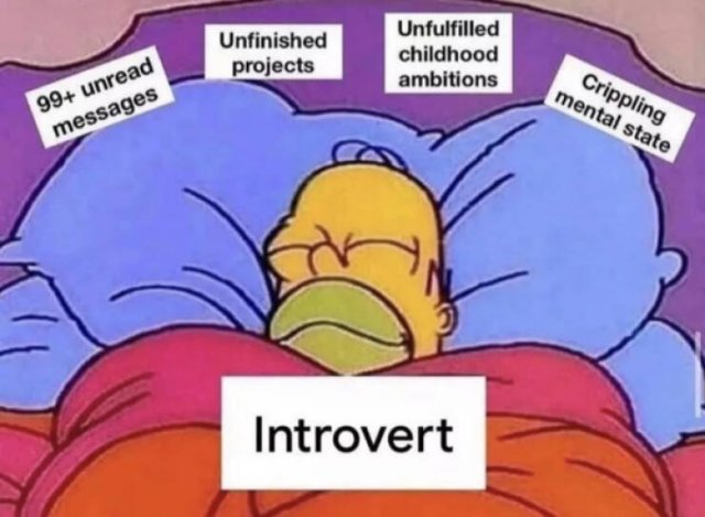 Memes For Introverts (15 pics) Memes For Introverts (15 pics)