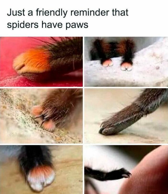 Science Memes (20 pics)