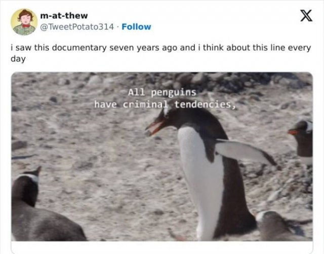 Science Memes (20 pics)