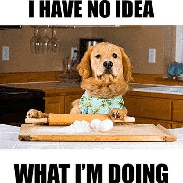 Culinary Memes (31 pics)