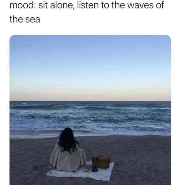 Memes For Introverts (15 pics) Memes For Introverts (15 pics)