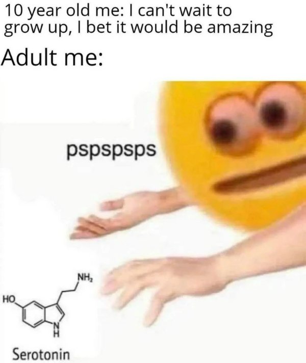 Hilarious Jokes (30 pics)