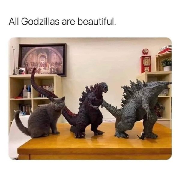 Jokes And Photos For Cats Lovers (38 pics) Jokes And Photos For Cats Lovers (38 pics)