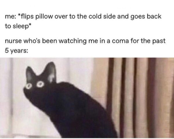 Random Memes (41 pics)