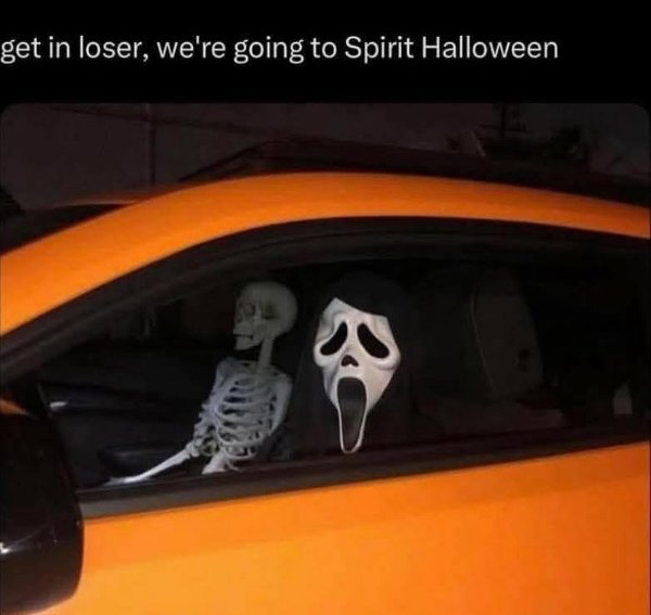 Random Memes (41 pics)