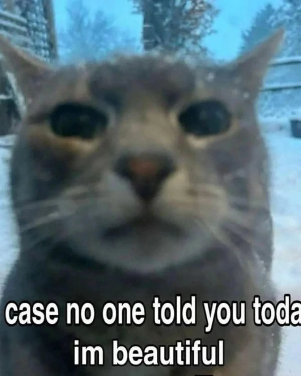 Hilarious Jokes (30 pics)