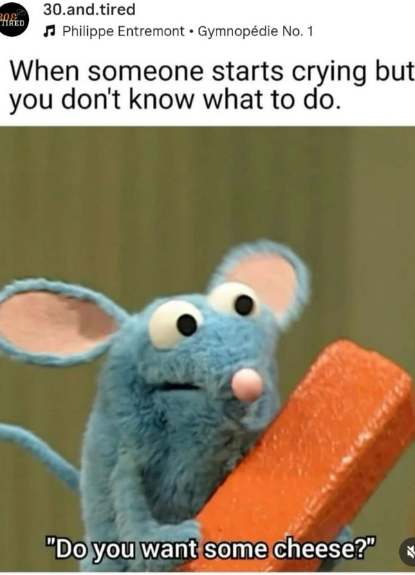 Hilarious Jokes (30 pics)