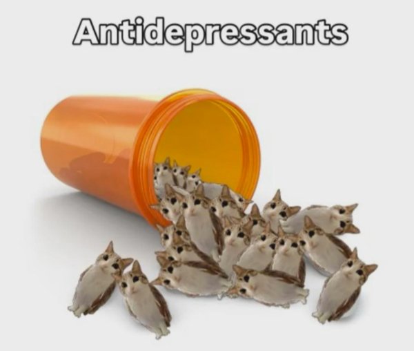 Jokes And Photos For Cats Lovers (38 pics) Jokes And Photos For Cats Lovers (38 pics)